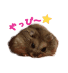 のだハム01（個別スタンプ：10）