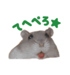 のだハム01（個別スタンプ：18）