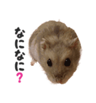のだハム01（個別スタンプ：19）