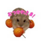 のだハム01（個別スタンプ：22）