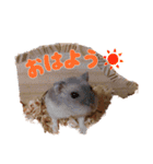 のだハム01（個別スタンプ：23）