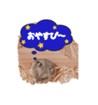 のだハム01（個別スタンプ：26）