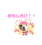しょうのペット♪（個別スタンプ：12）