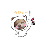 しょうのペット♪（個別スタンプ：22）