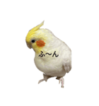かわいい小鳥ちゃんのスタンプ（個別スタンプ：8）