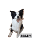いろいろまん！！（個別スタンプ：8）