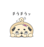 パグ犬の生活（個別スタンプ：4）