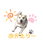 さつき★スタンプ（個別スタンプ：2）