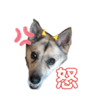 さつき★スタンプ（個別スタンプ：3）