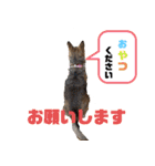 さつき★スタンプ（個別スタンプ：13）