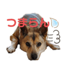 さつき★スタンプ（個別スタンプ：23）