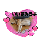 さつき★スタンプ（個別スタンプ：30）