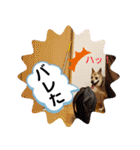 さつき★スタンプ（個別スタンプ：36）