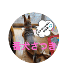 さつき★スタンプ（個別スタンプ：38）