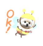 関西弁シロやで（個別スタンプ：1）