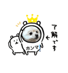 関西弁シロやで（個別スタンプ：2）