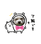 かわいい日常スタイル（個別スタンプ：1）