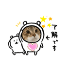 かわいい日常スタイル（個別スタンプ：8）