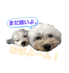 ペロ＆メープルwithりぼんちゃんちっぷさん（個別スタンプ：2）