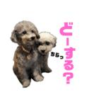 ペロ＆メープルwithりぼんちゃんちっぷさん（個別スタンプ：6）