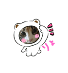 みかん 2（個別スタンプ：3）