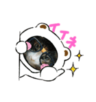 みかん 2（個別スタンプ：4）
