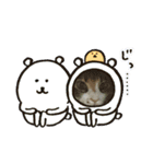 みかん 2（個別スタンプ：5）