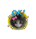 みかん 2（個別スタンプ：9）