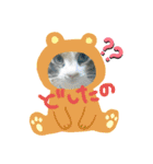 みかん 2（個別スタンプ：10）