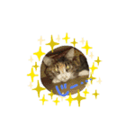 みかん 2（個別スタンプ：12）