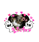 みかん 2（個別スタンプ：16）