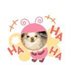 わんこちび＆チェリー8（個別スタンプ：4）