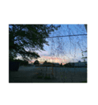 shot on iPhone pro（個別スタンプ：2）