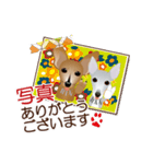 まめぴん321*凛くん＆蘭ちゃんver.02（個別スタンプ：8）