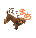 Hi！ Komame:)（個別スタンプ：2）
