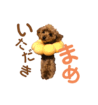 Hi！ Komame:)（個別スタンプ：4）