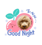 Labradoodle ラブラドゥードル(ラテ)（個別スタンプ：3）