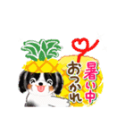 夏わんこ☆（個別スタンプ：17）