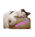 あーちゃんfamily（個別スタンプ：11）