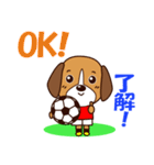 サッカー犬 赤ユニ版（個別スタンプ：3）