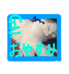 Poppyと愉快な仲間たち vol. 01（個別スタンプ：2）