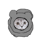 おうちのこねこーん（個別スタンプ：2）