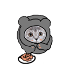 おうちのこねこーん（個別スタンプ：4）