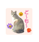メイちゃん 2（個別スタンプ：1）