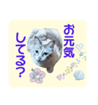 メイちゃん 2（個別スタンプ：5）