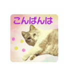 メイちゃん 2（個別スタンプ：6）