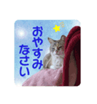 メイちゃん 2（個別スタンプ：7）