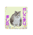 メイちゃん 2（個別スタンプ：8）