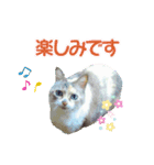 メイちゃん 2（個別スタンプ：9）