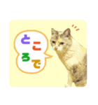 メイちゃん 2（個別スタンプ：10）